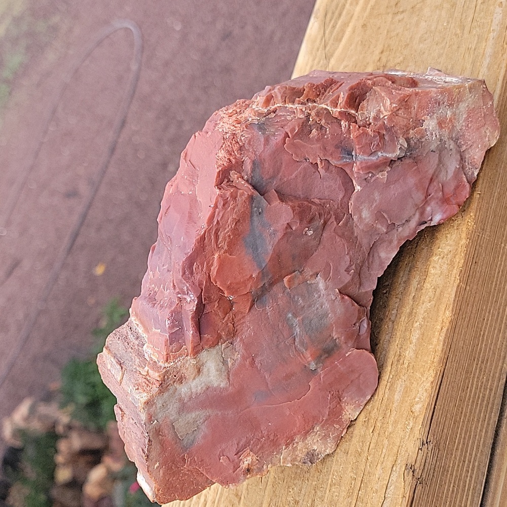 2lbs 11.2oz Az rainbow natural slab with crystal veins petrified wood